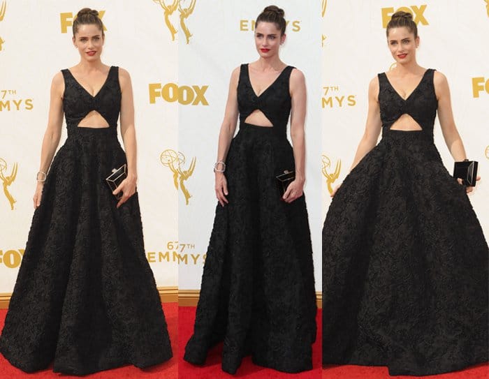Amanda Peet looked stunning in a Michael Kors Pre-Fall 2015 gown at the 67th Emmy Awards