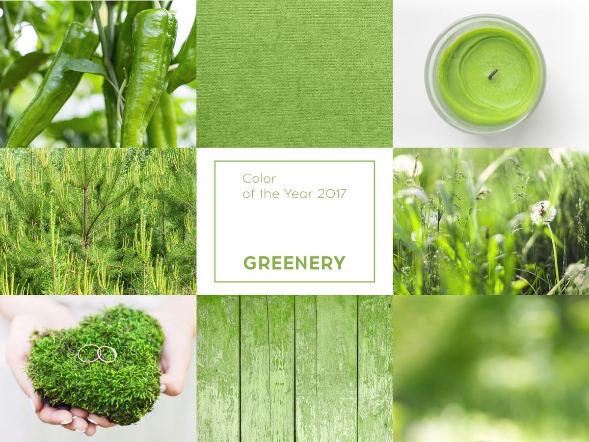 Pantone's color choice is made by analyzing trends in various fields, and the selected color, such as "Greenery," holds symbolic significance for the social and political climate by representing hope, reconnection with nature and each other, and a larger purpose, while green in general is currently popular